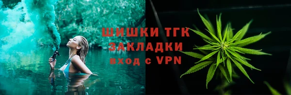 гидра Бронницы