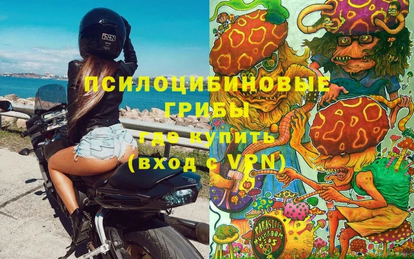 mdpv Бородино