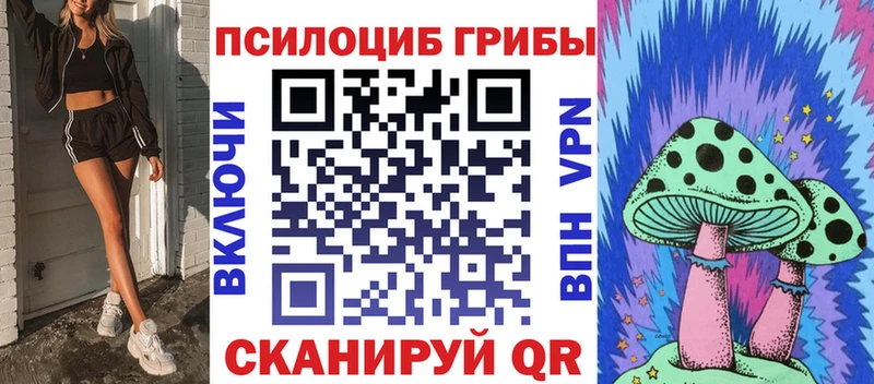 Псилоцибиновые грибы прущие грибы  Купить  Устюжна 